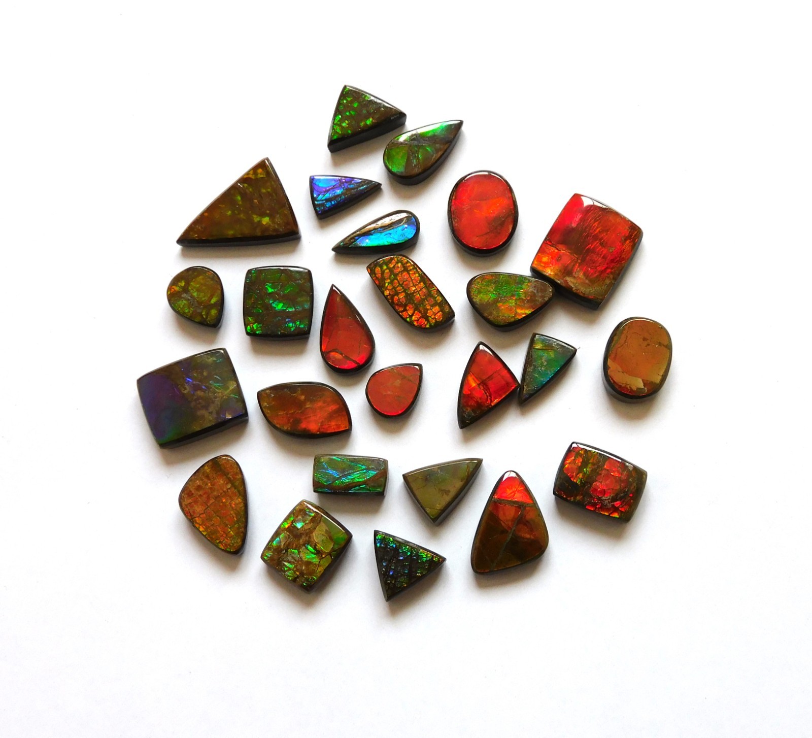 121.65 Cts Natural Ammolite 25 Pcs Lot Loose Cabochon Gemstone CN07