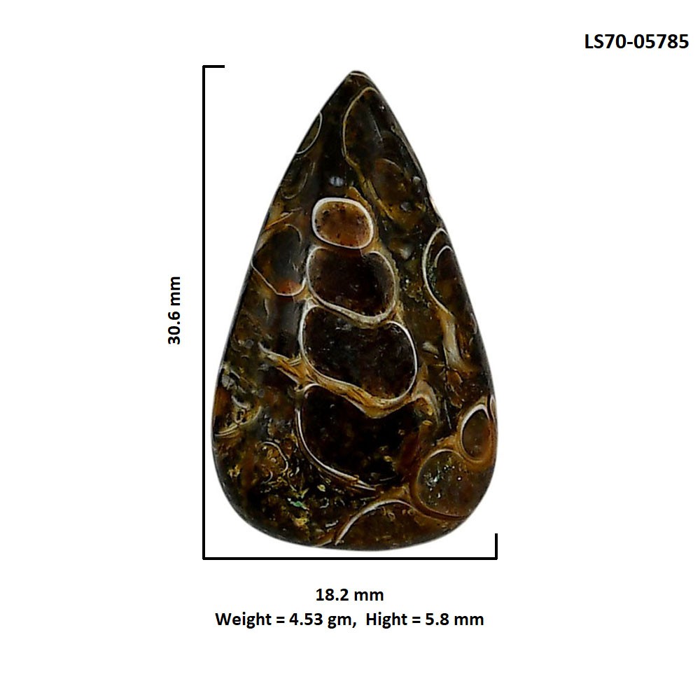 Natural Turtella Jasper 18.2×30.6×5.8 mm Pear Shape Polished Gemstone LS70-05785