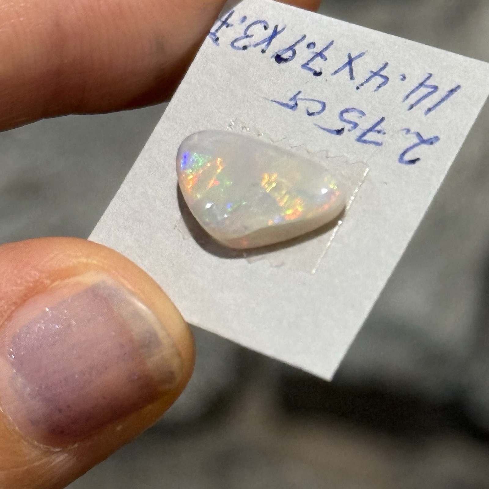 2.75ct 14.4×7.9×3.7mm Lightning Ridge Australian Crystal Opal Cabochon Gem