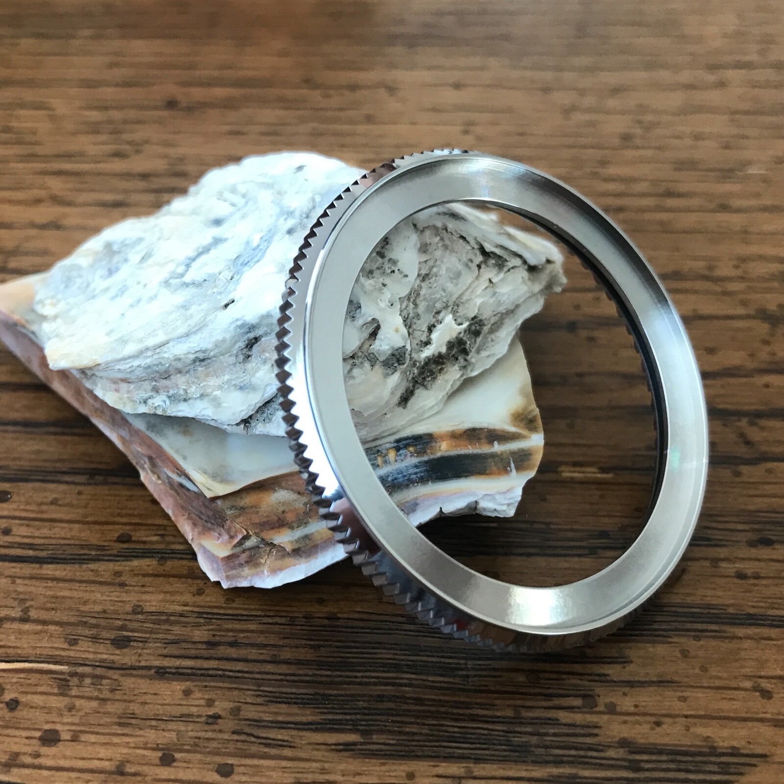Coin Edge Bezel for Seiko SRP Turtle 120 Click Unidirectional ~ US Seller