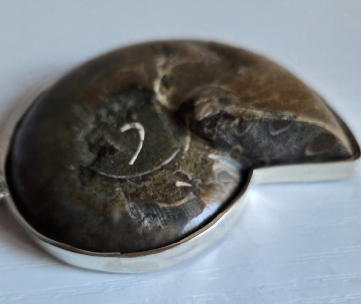 Large Ammonite Fossil Pendant with Mother of Pearl Inlay Silver 925 Frame 56 gr
