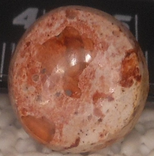 9.35ct Mexican Fire Opal Round 14mm x 6.4mm Bonanza Sale
