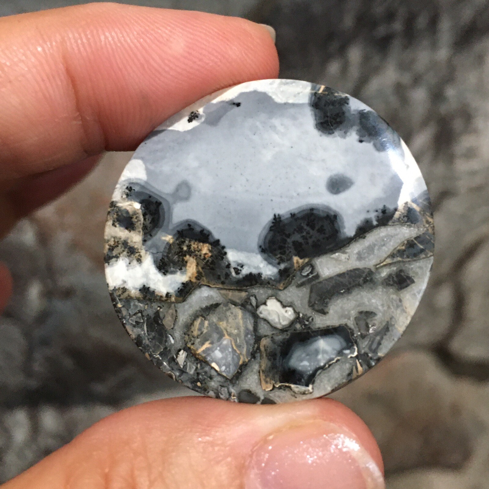 35×5.5mm Collectors’ Fine Maligano Jasper Round Cabochon Picture Stone