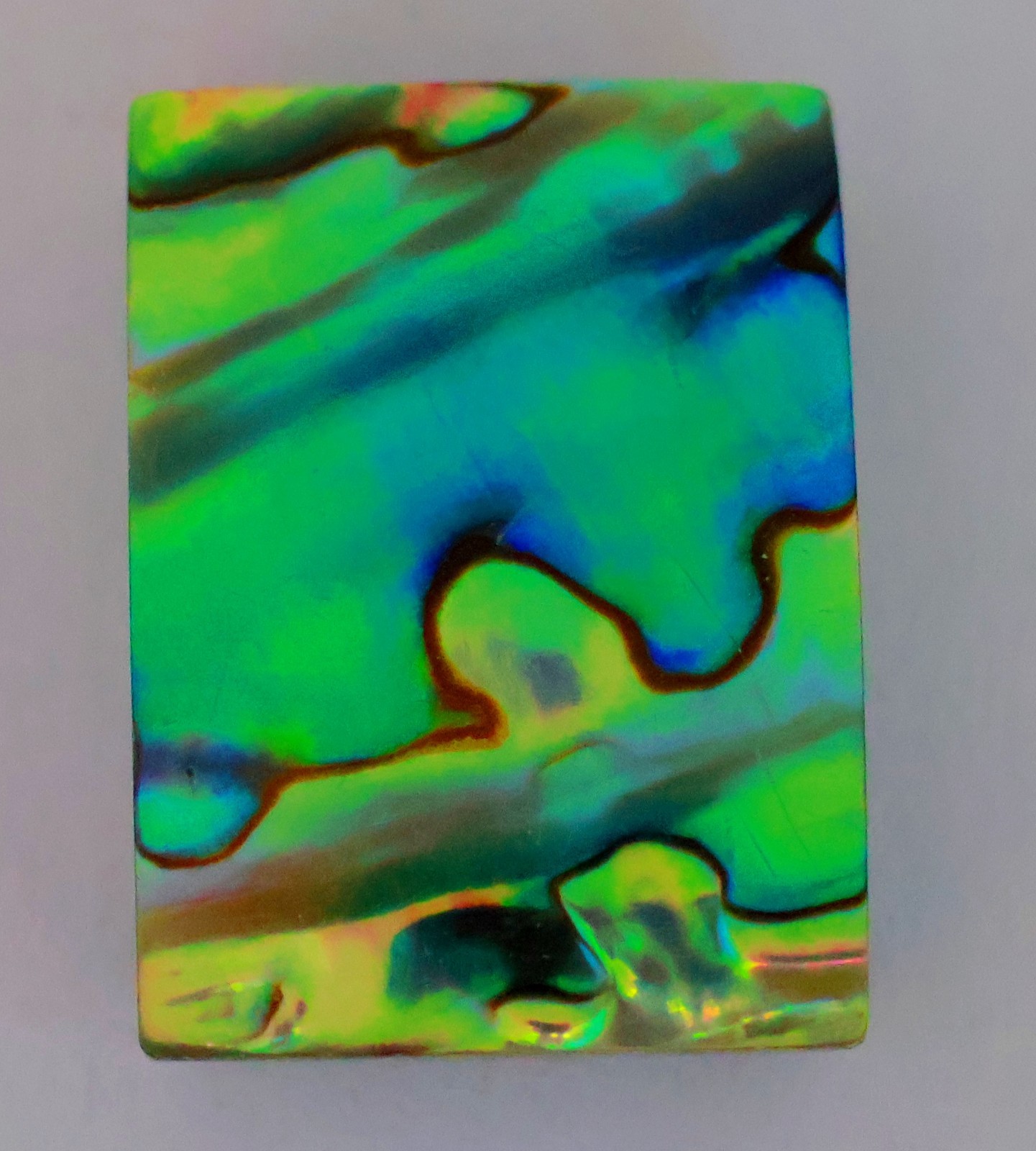 35 Ct 7X18X26 mm Natural Multi Fire Abalone Shell Fancy Cabochon Gemstone KQ-574