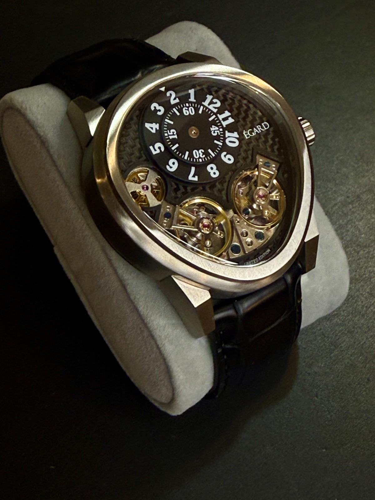 Egard Quantus Carbon Beast Watch