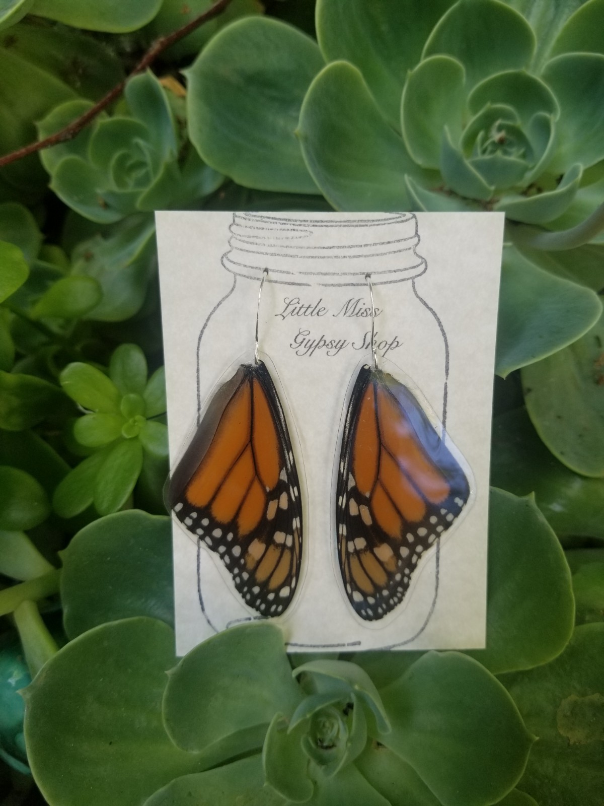 Real Monarch Butterfly Wing Earrings, Resin Coated, Sterling Silver, Taxidermy