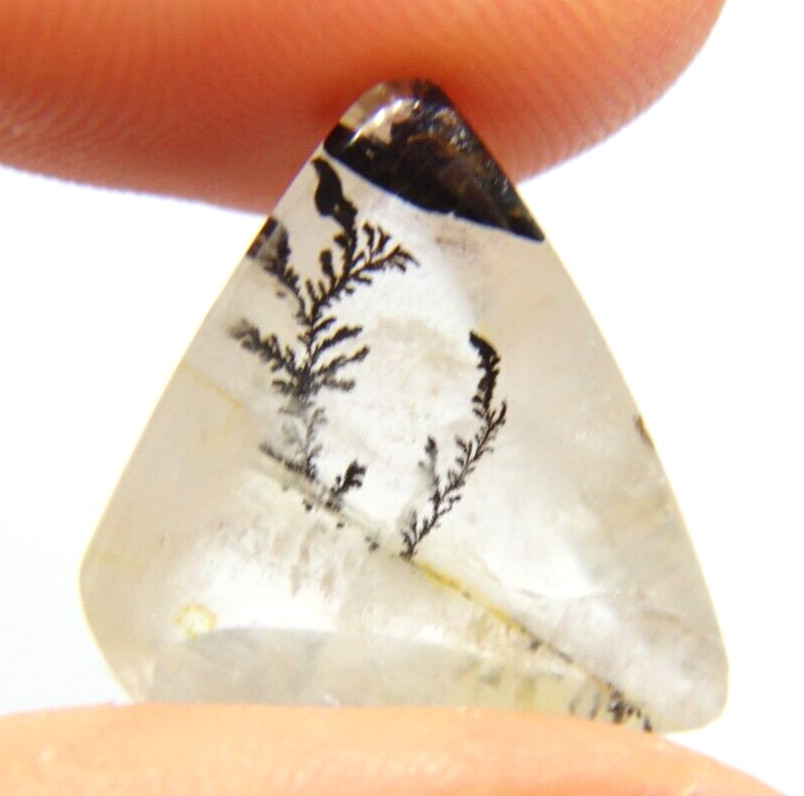 IP-4 Dendrite Quartz 8.72ct 15x19x5mm Free Form, picture stone garden branches