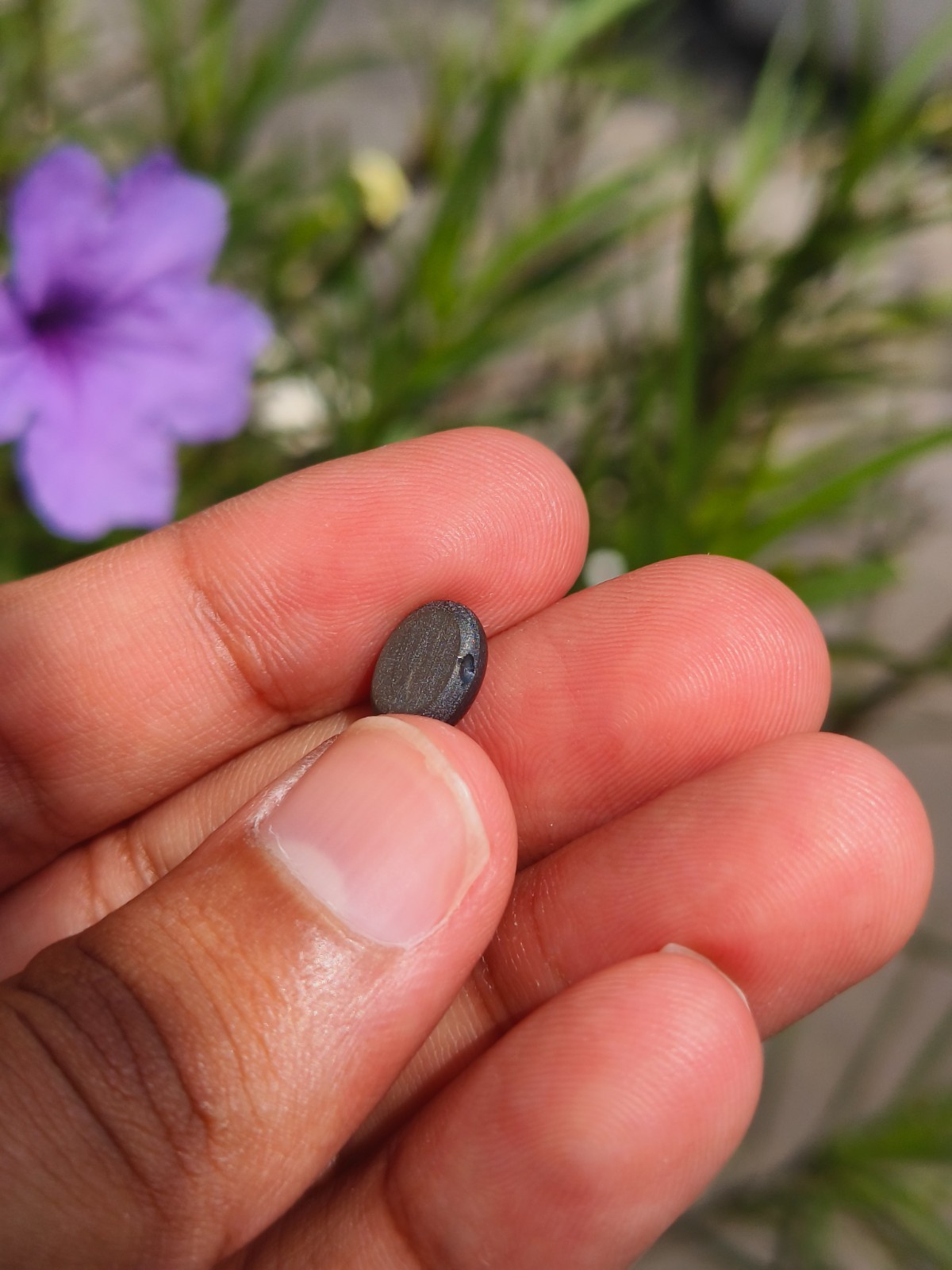 3.48 Cts A BEAUTIFUL NO HEAT BLACK STAR SAPPHIRE OF PERFECT 6 RAYS STAR ✨