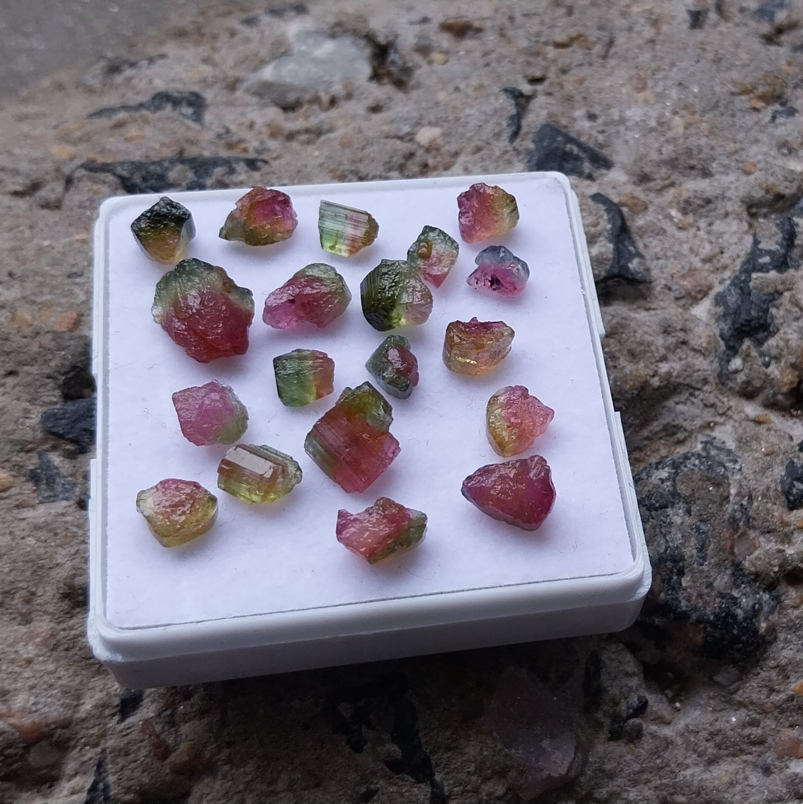 25.5 Ct 4 to 9 MM Natural Watermelon Bi-Color Tourmaline Raw Rough 19 Piece Lot