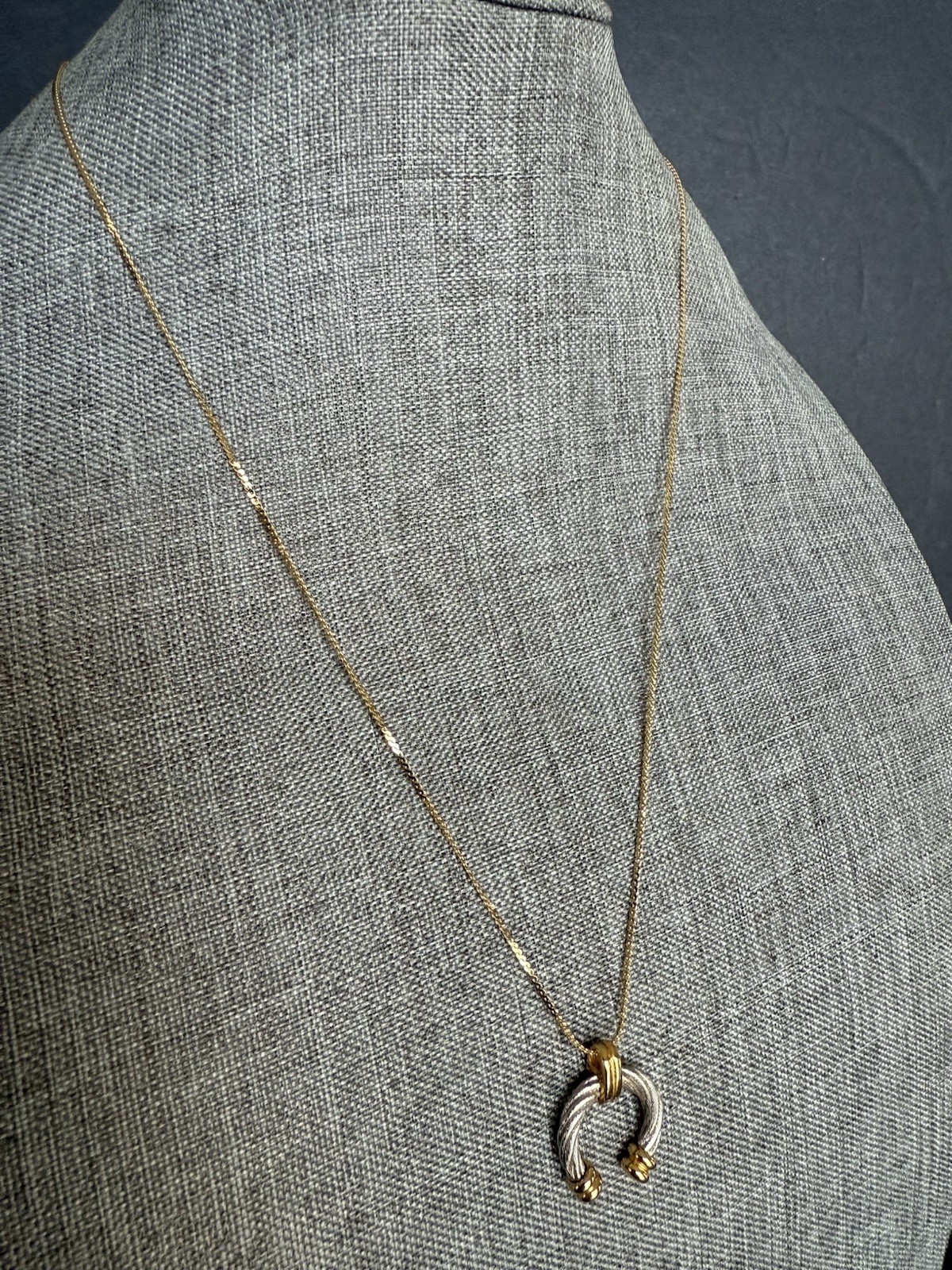 Twisted Half Hoop Two Tone Pendant Gold Tone Chain Necklace 24” Capsule Career