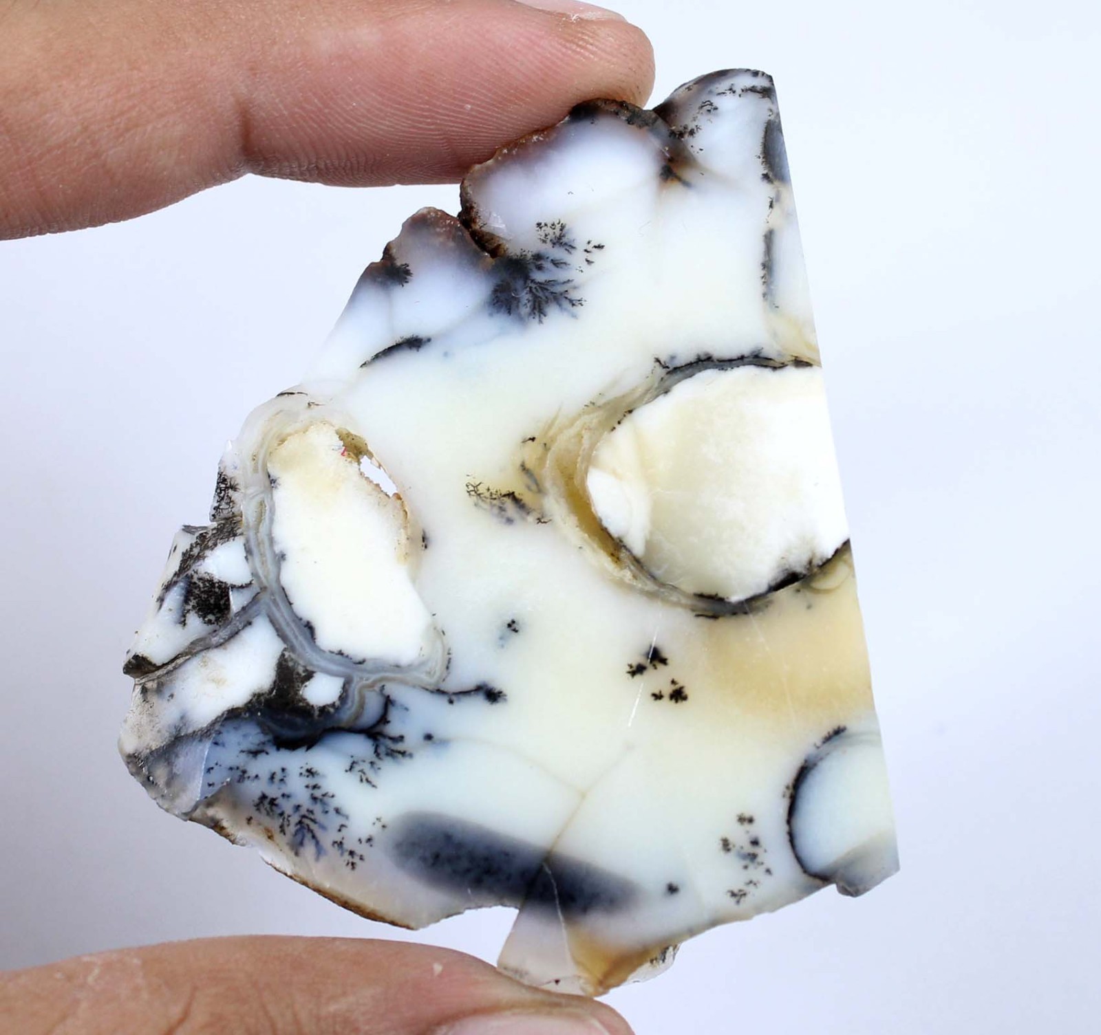 Father’s Day Offers Natural Dendrite Opal 128.50 Ct/52 mm Gemstone Slab Rough