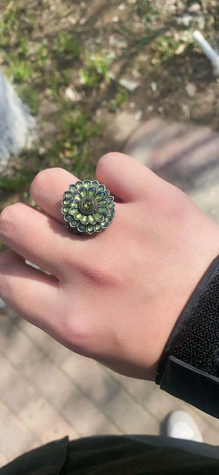 Dark souls Game Ring Cloranthy Ring Video Game Cosplay Adjustable Size
