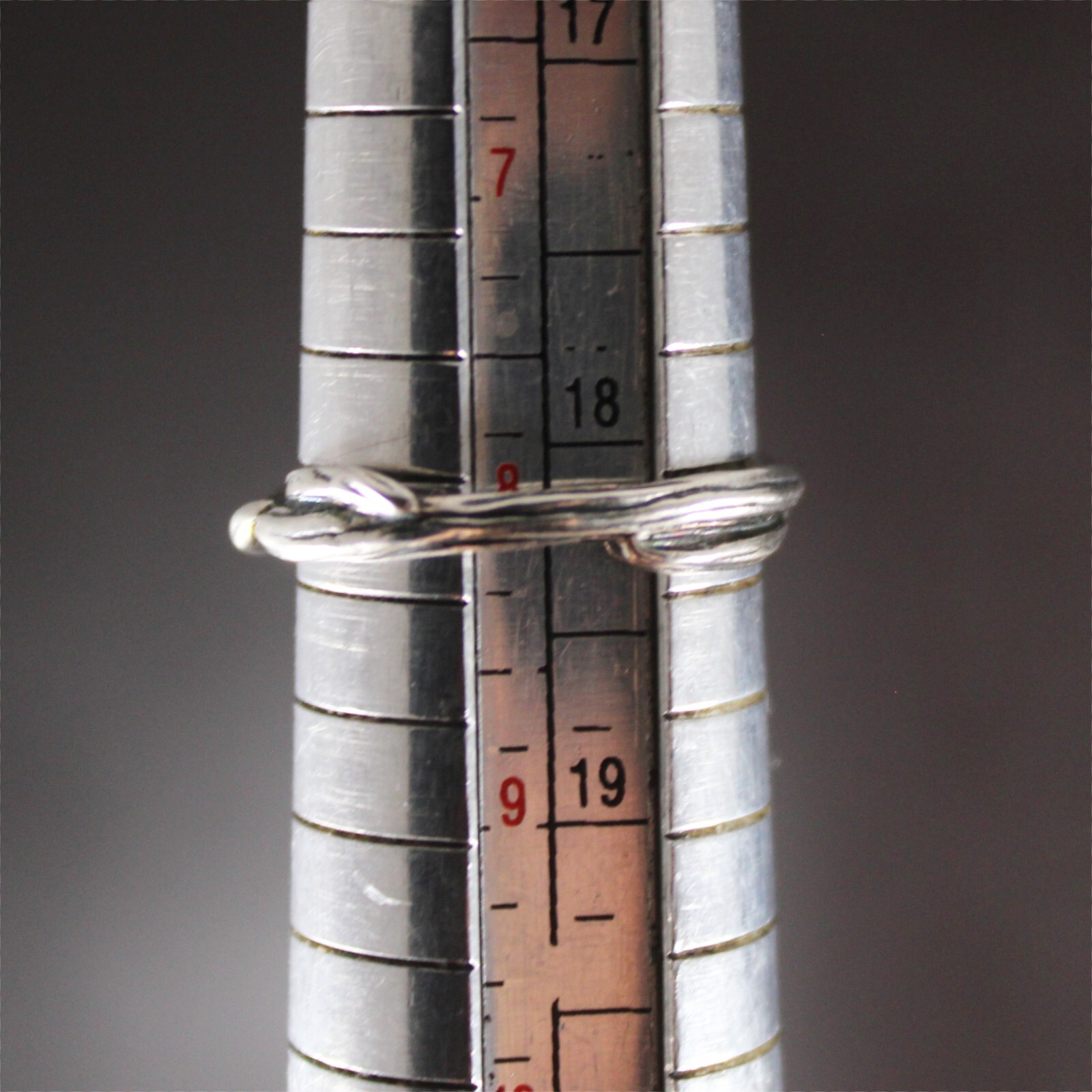 PZ ISRAEL Small ROSE BUD with Rose Stem Band Ring Sterling Silver Size 8