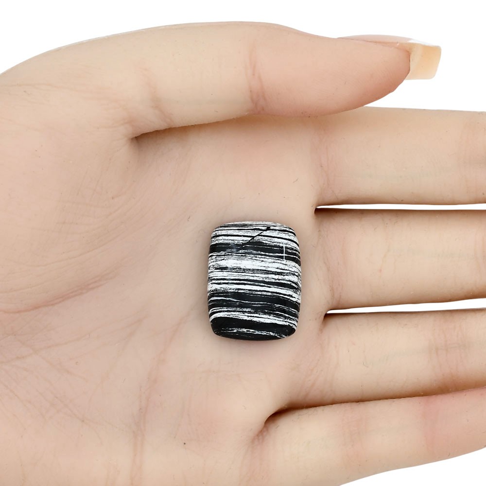 Natural Silver Leaf Obsidian 22×17.3×5.4 mm Baguette Shape Gemstone LS01664-22