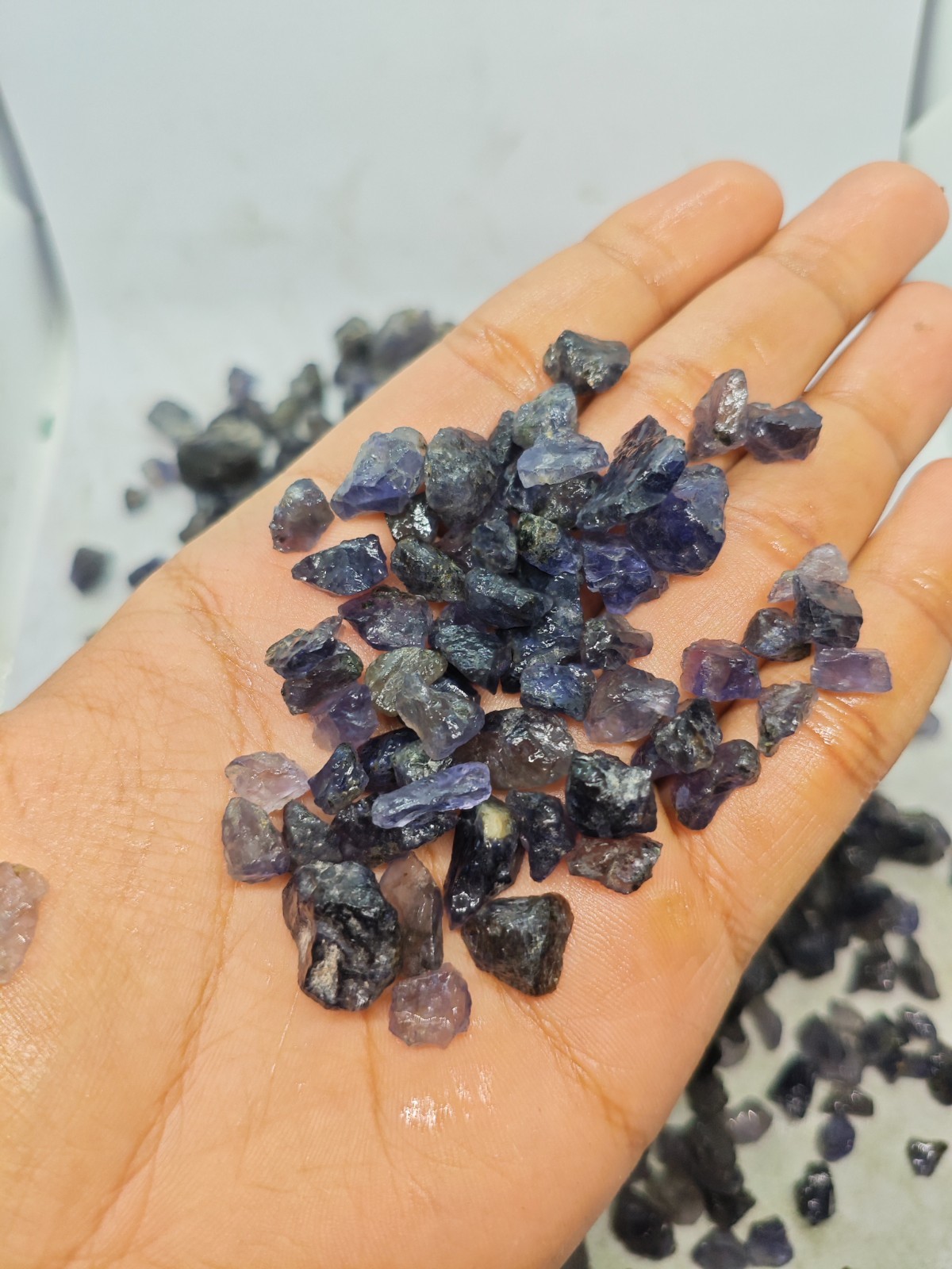 Natural Iolite Raw Rough Gemstones 5–20mm Sparkling Violet Blue