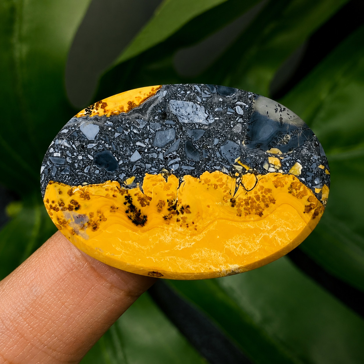 Rare Natural Maligano Jasper Cabochon 37x25x5mm Scenic Pattern Loose Gemstone