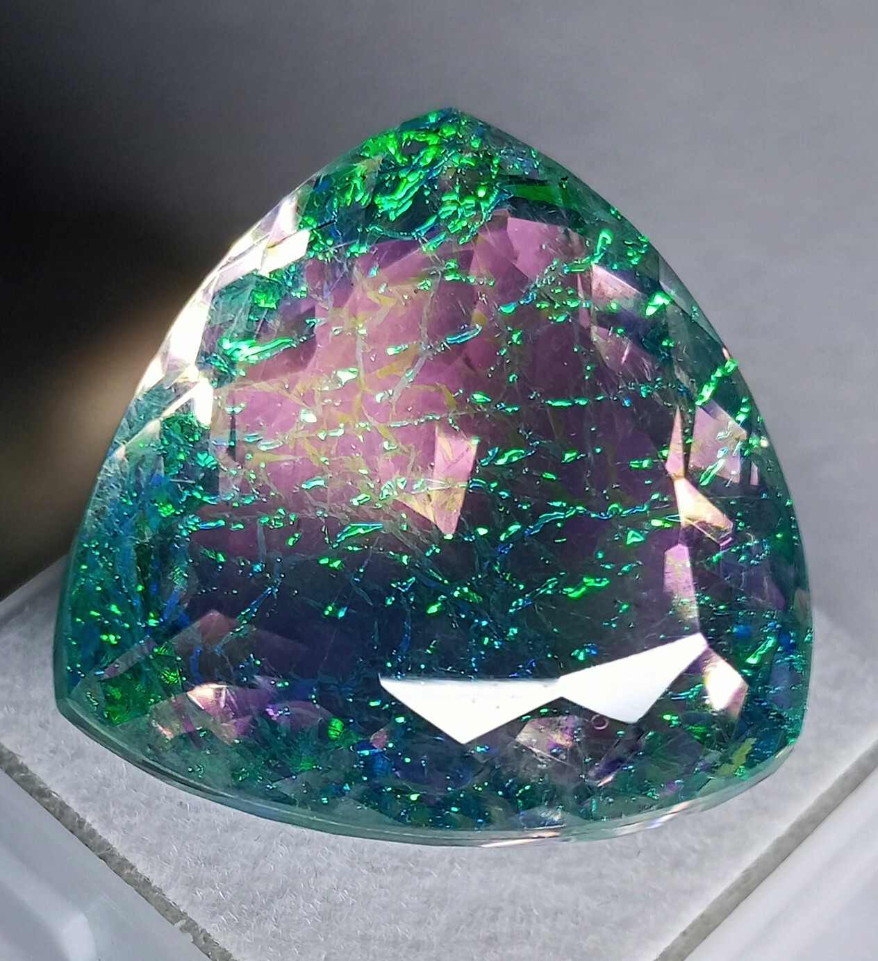 Natural Monarch Fire Opal Doublet Trillion Certified 58.55 Ct Loose Gemstone