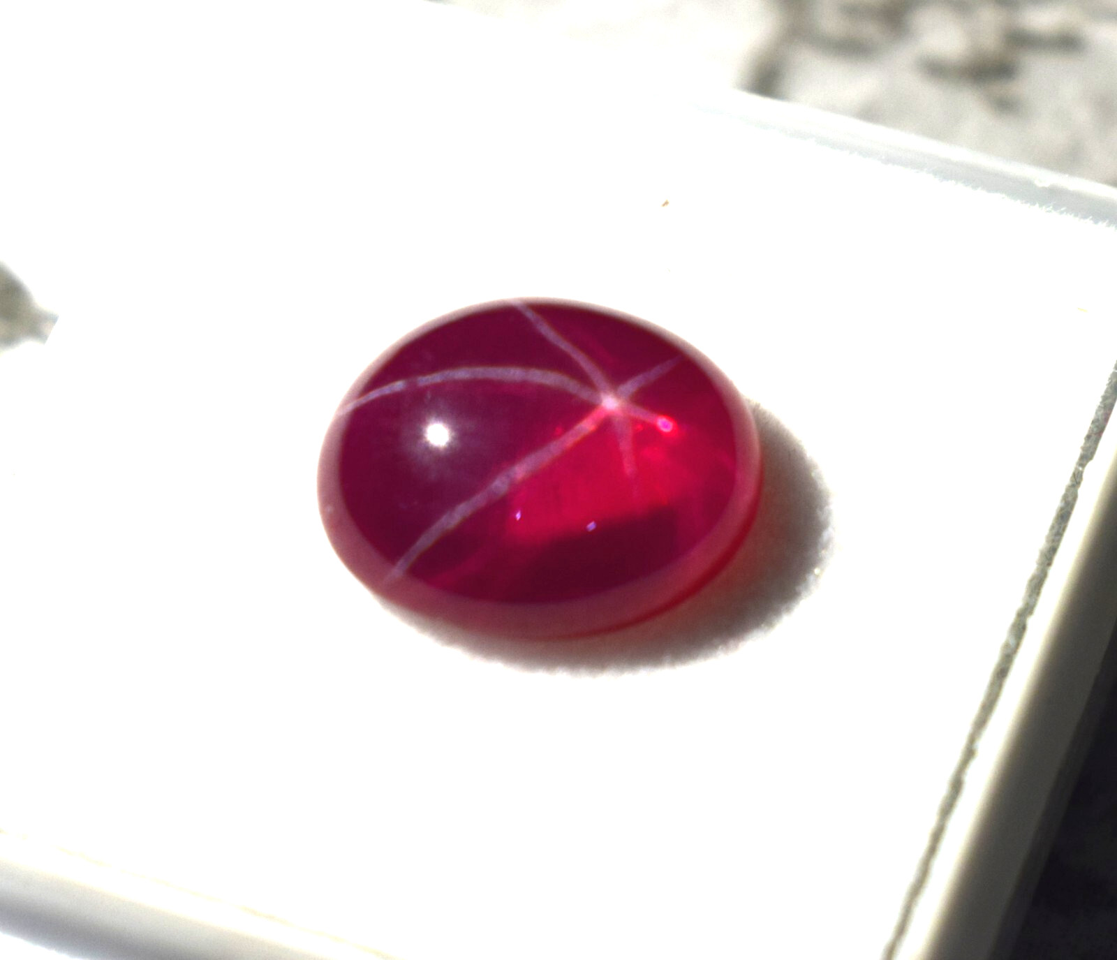 Certified Oval Cabochon 5.75 Ct Natural 6 Rays Red Star Ruby Loose Gemstone