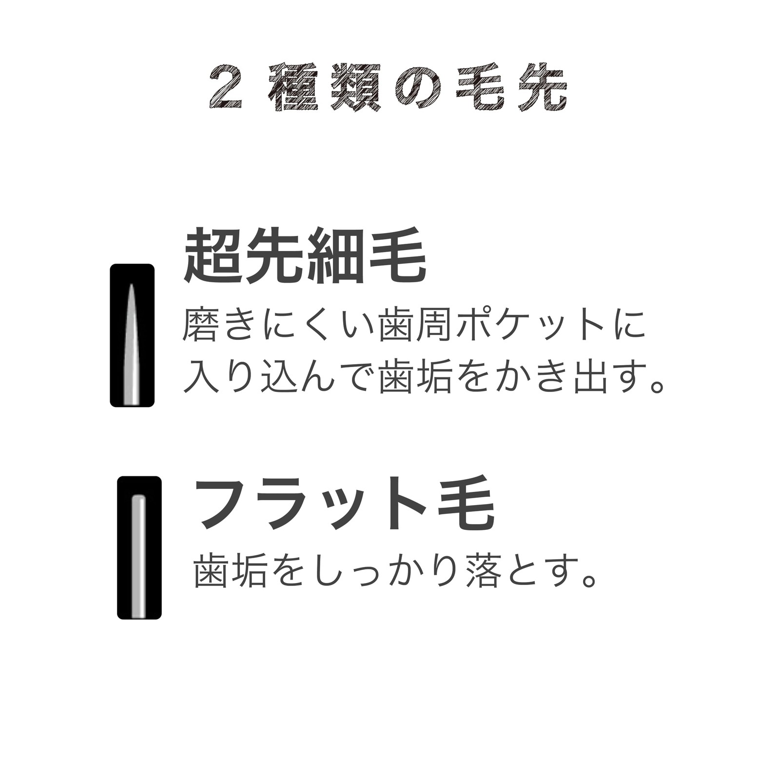 Ebisu The Premium Care Gap Plus (Regular) 2 Pieces Set