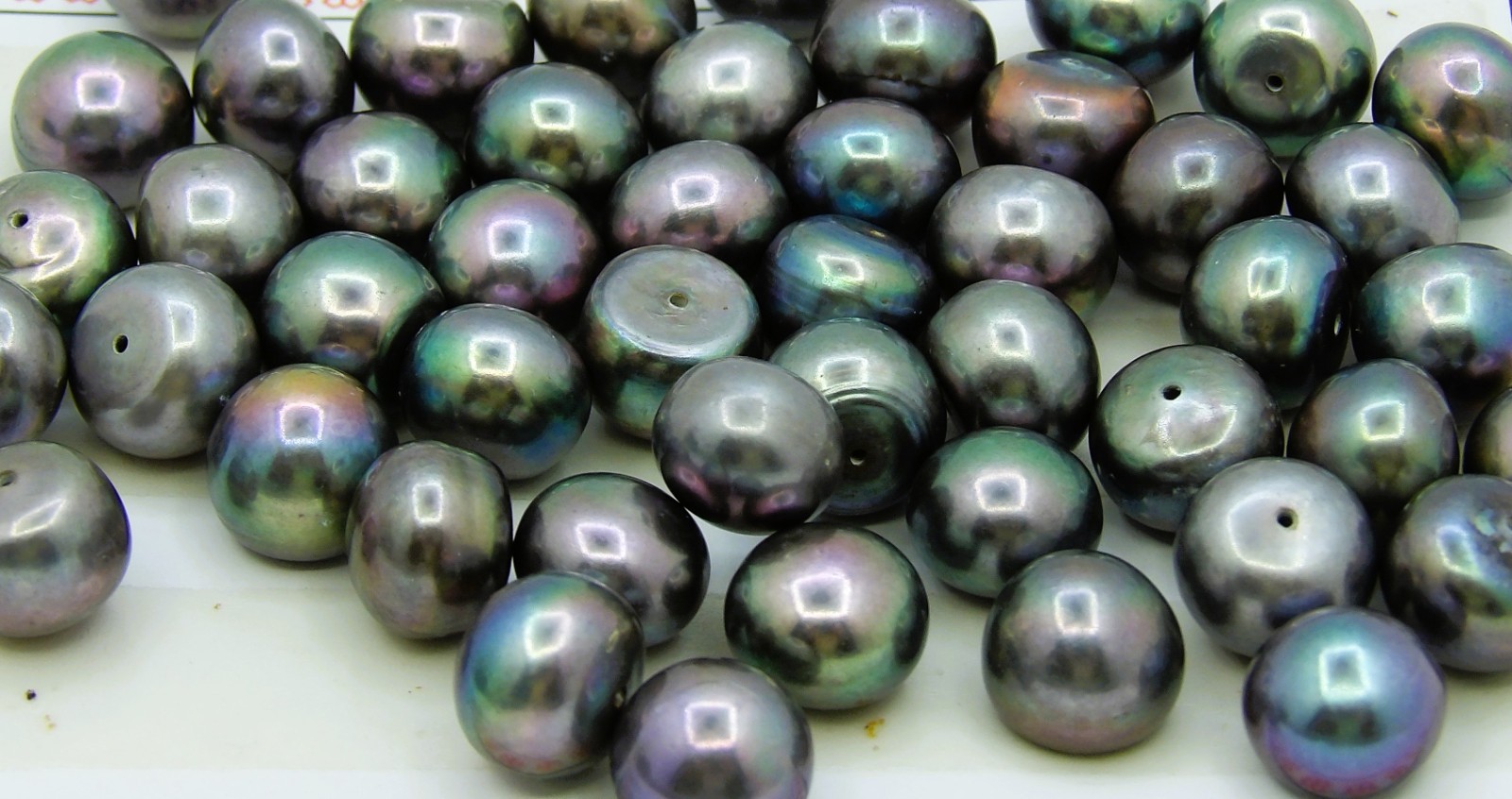 1pc. Dark Peacock Half Drilled Freshwater Button Pearl Beads 10.2-10.6mm LB-C1
