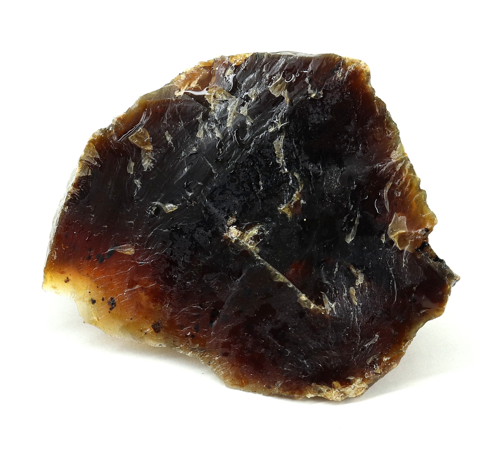 Natural Honey Baltic Amber Untreated Specimen Certified Rough Gemstone 122 Ct.