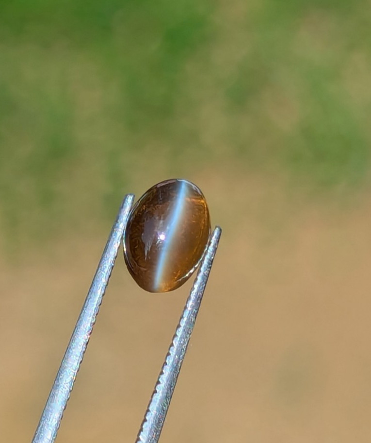Natural Chrysoberyl Cat’s Eye 1.35ct Honey | Sharp Eye | Glass Body Ceylon
