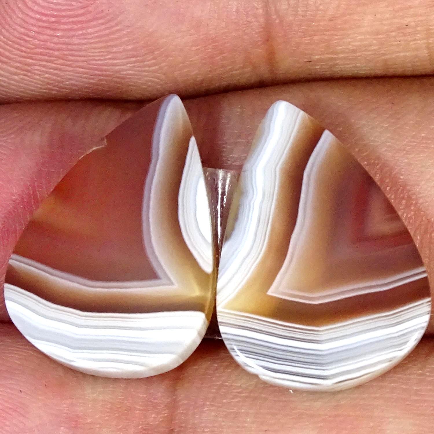20.50Cts Natural Nice Botswana Pair Agate Pear Cabochon Gemstone 15X20X4MM