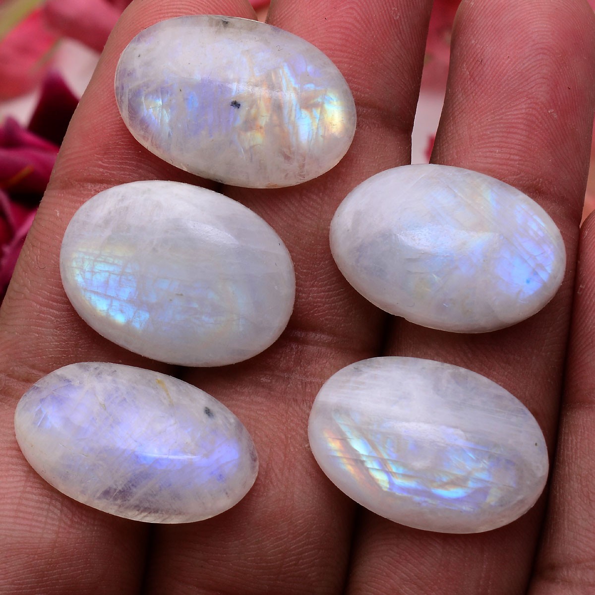 5 Pcs Natural Rainbow Moonstone 23mm-25mm Oval Cabochon Untreated Huge Gemstones