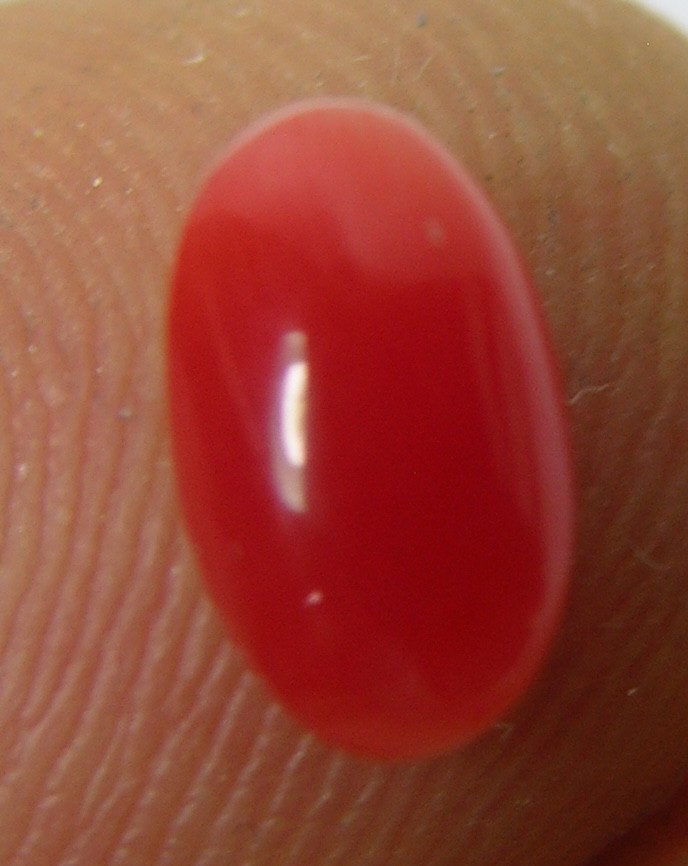 #8 Rare Japan 100% Natural Reddish Orange Coral Oval Cabochon Gemstone 7.50mm