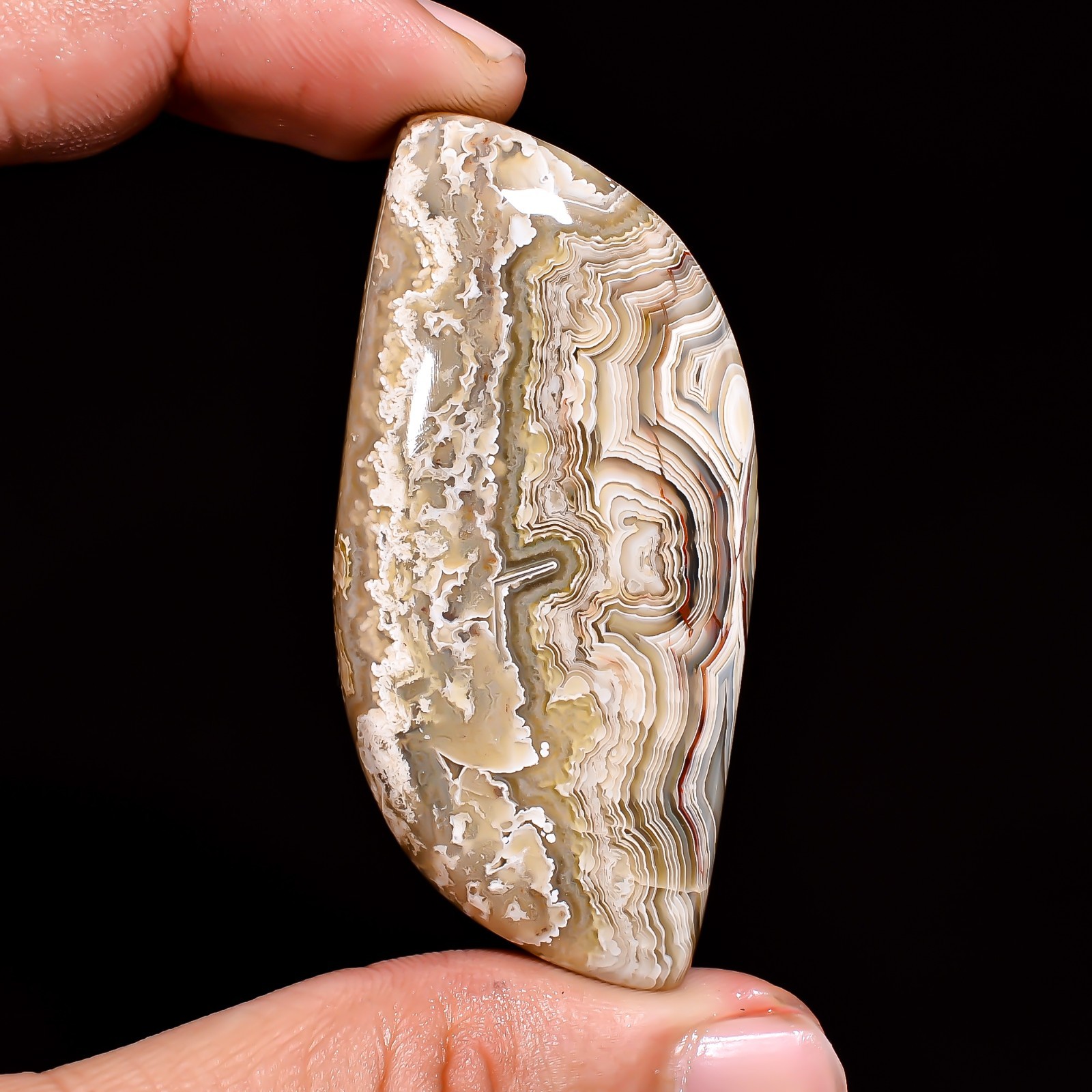 Natural Crazy Lace Agate Fancy Shape Cabochon Loose Gemstone 55X27X7 MM 106 Cts.