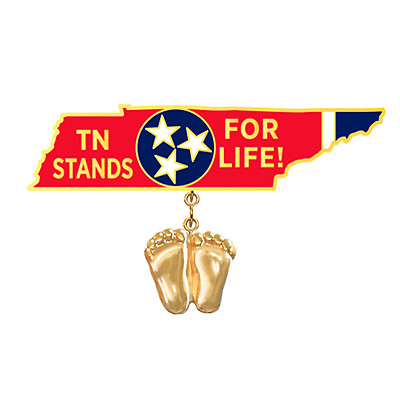 Precious Feet, 14K Gold Plated, Tennessee Flag Jewelry, Lapel Pin