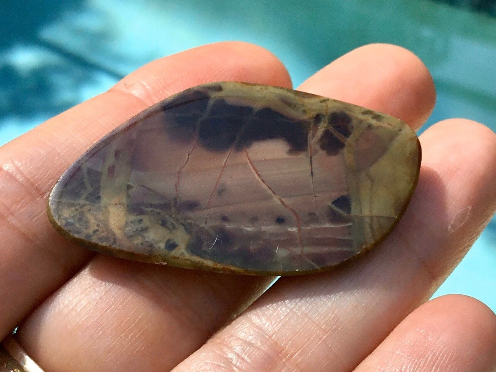 Oregon Morrisonite Jasper Freeform 45x26x5 mm Cabochon Gemstone