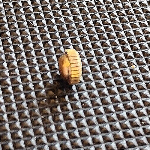 Watch Crown 4.7mm Gold Filled Tap 10 Post Opening 2.00mm Flush waterproof