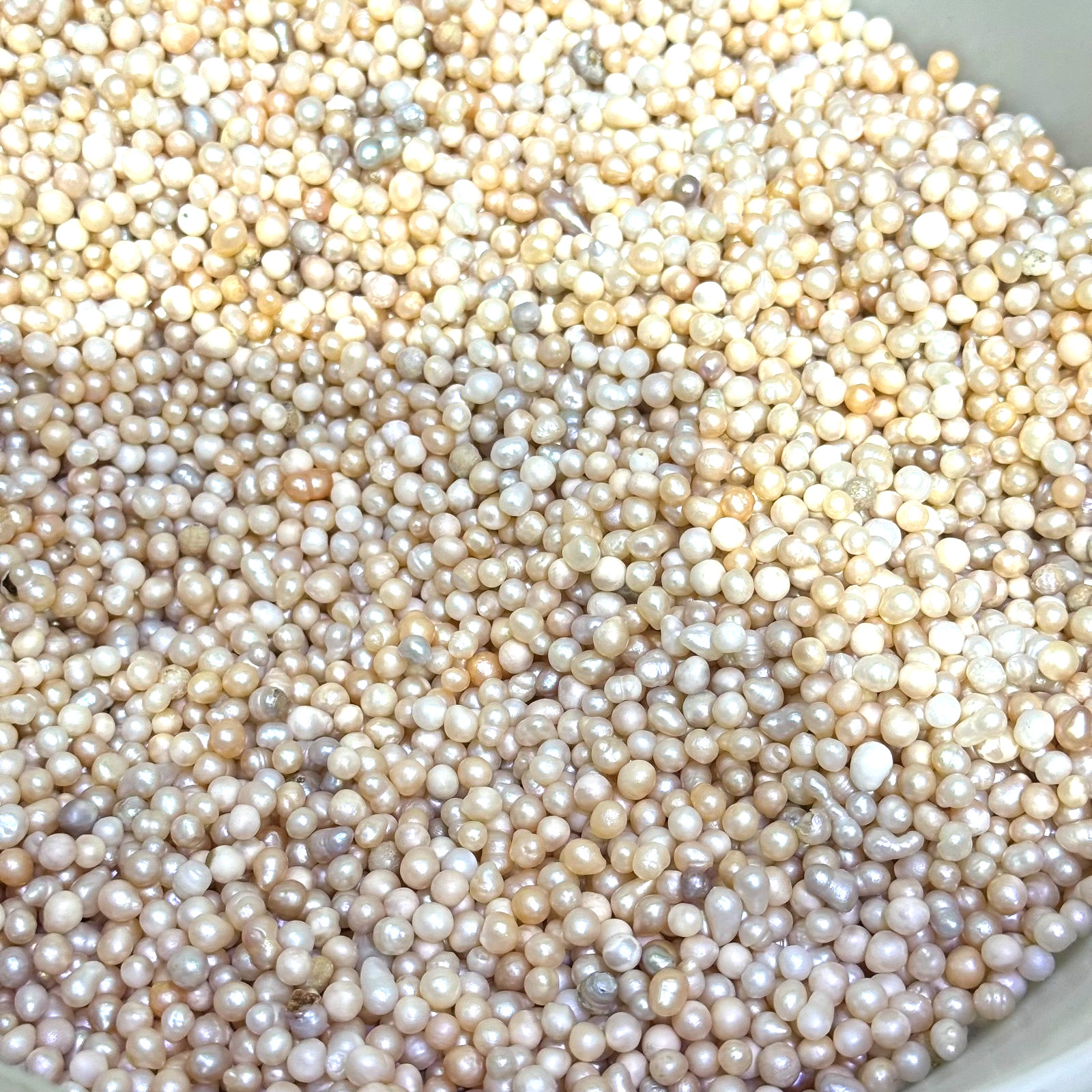 50g 200PCS 2-3mm Mini Cultured Pearl Loose Beads Baroque White Freshwater DIY