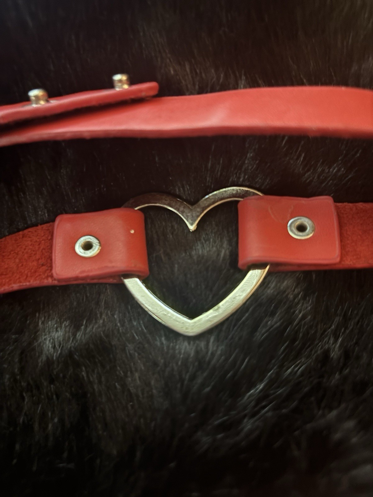 Red Heart Buckle Adjustable Women’s Waist Belt with Gold Rivets