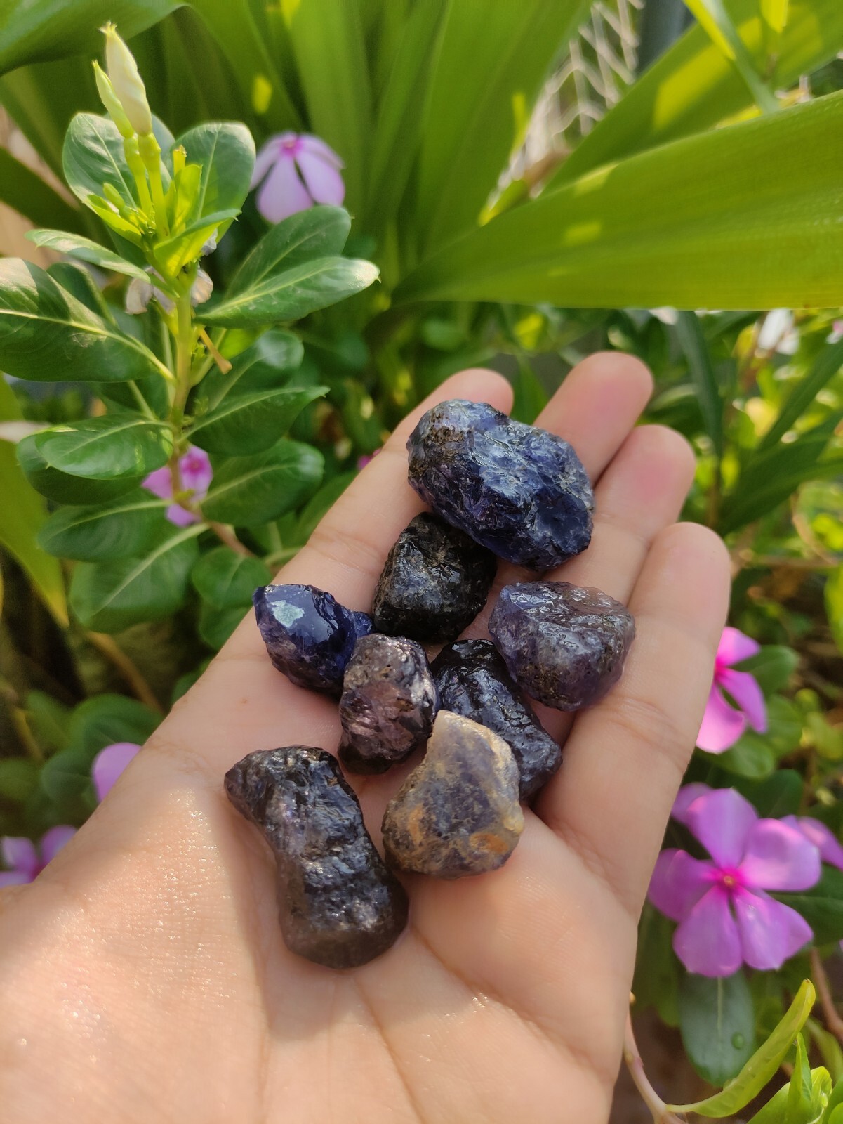 Large Iolite Chunks – Raw and Stunning