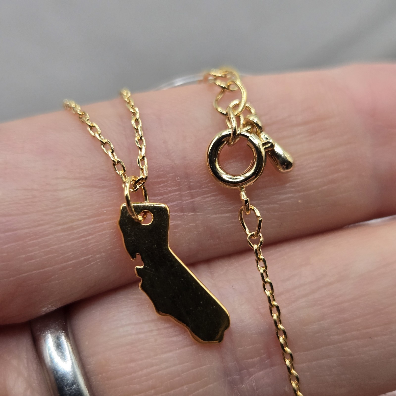 Gold Dainty Chain California State Charm Necklace 16K Gold Plated Boutique Brand