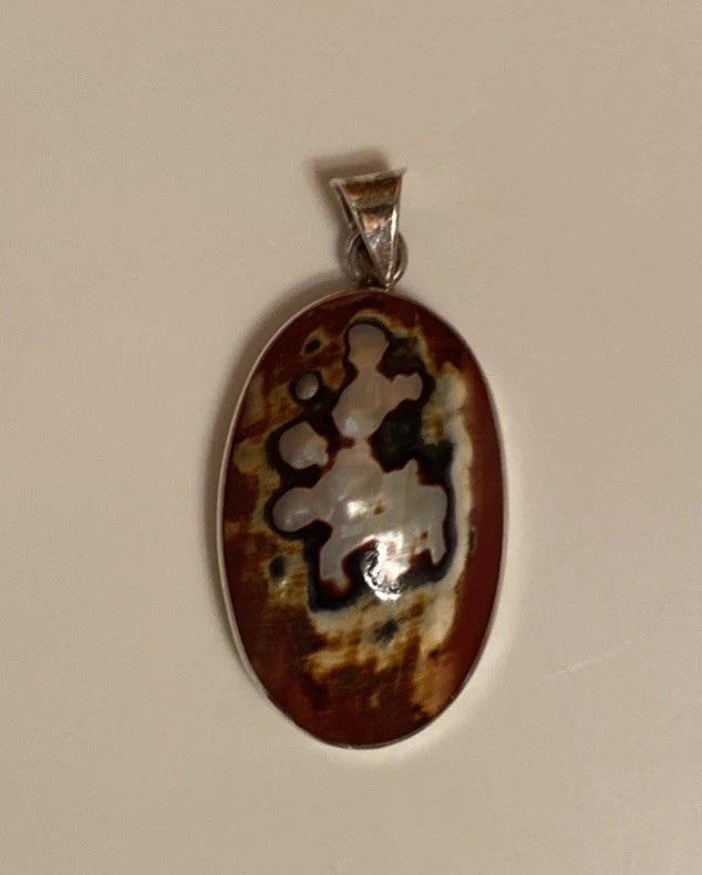 African Turban Shell Pendant Sterling Silver 1.5” x 1”