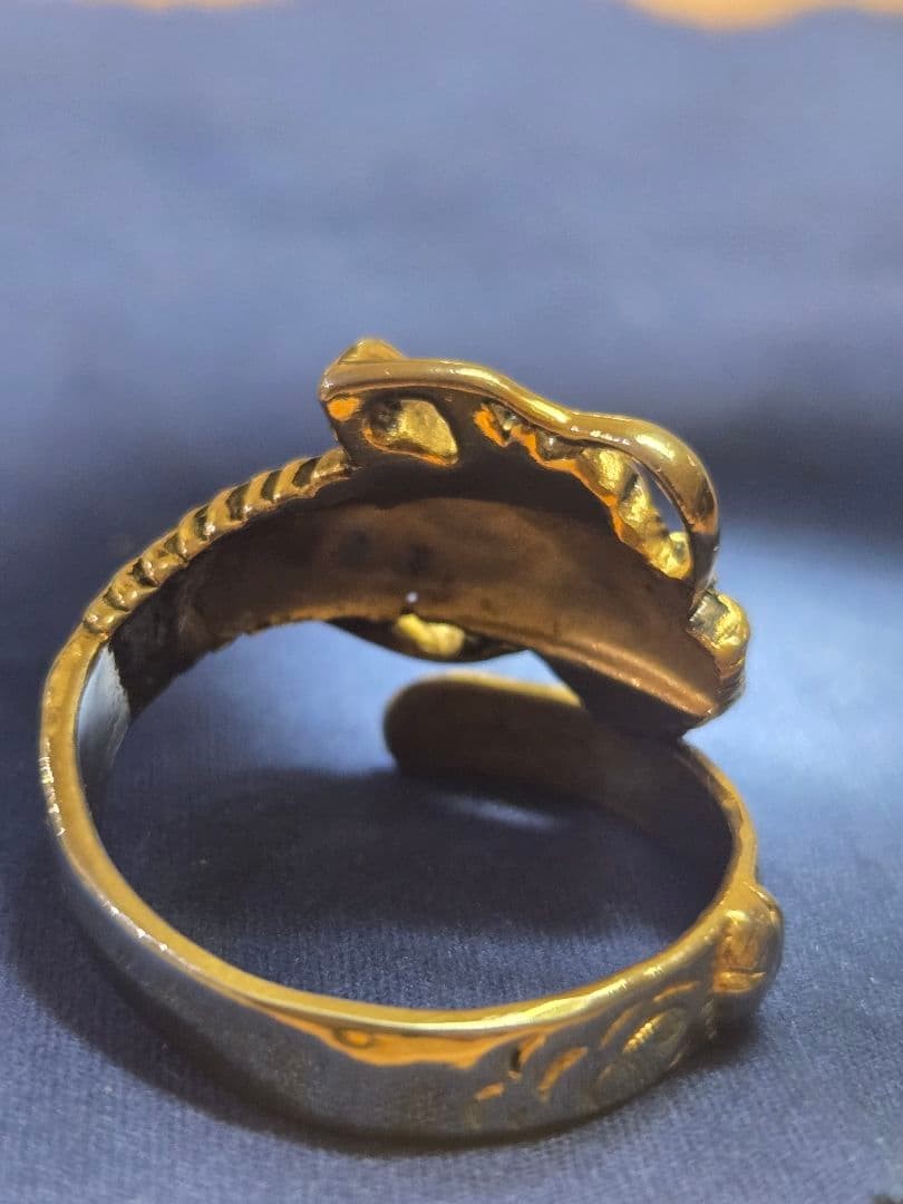 Dragon motif ring comes with a dragon case