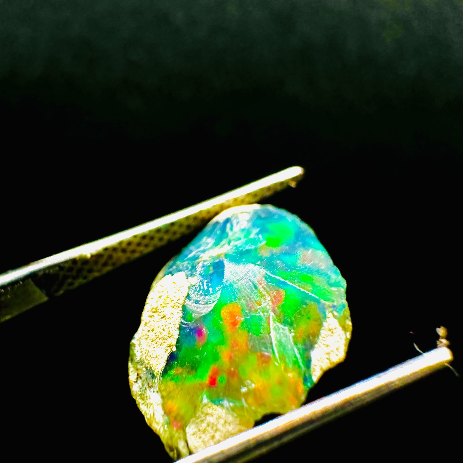 Natural Ethiopian Welo Black Opal Rough, Vibrant Rainbow Opal Fire 4ct 15x12MM