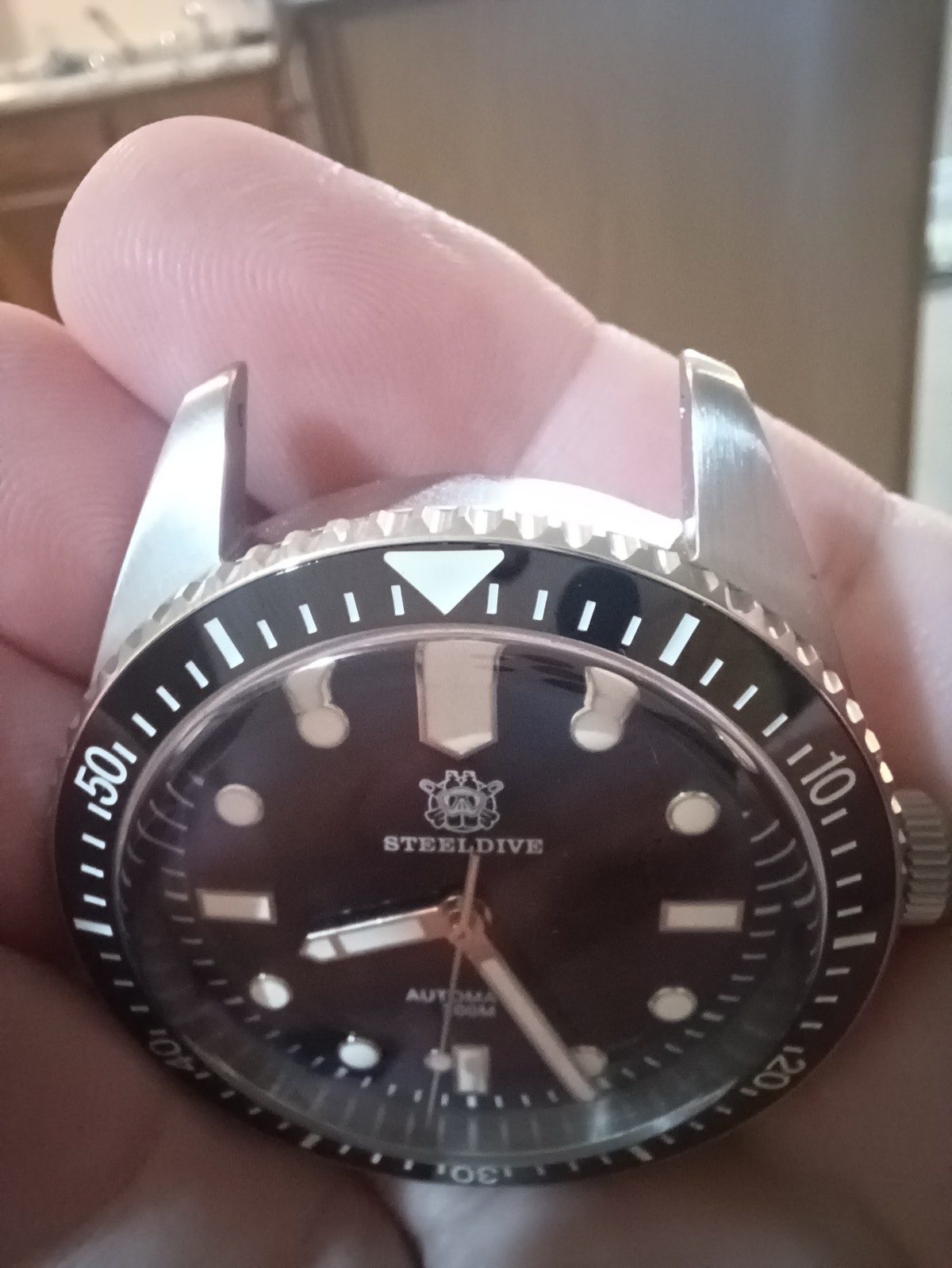 Steeldive dive watch