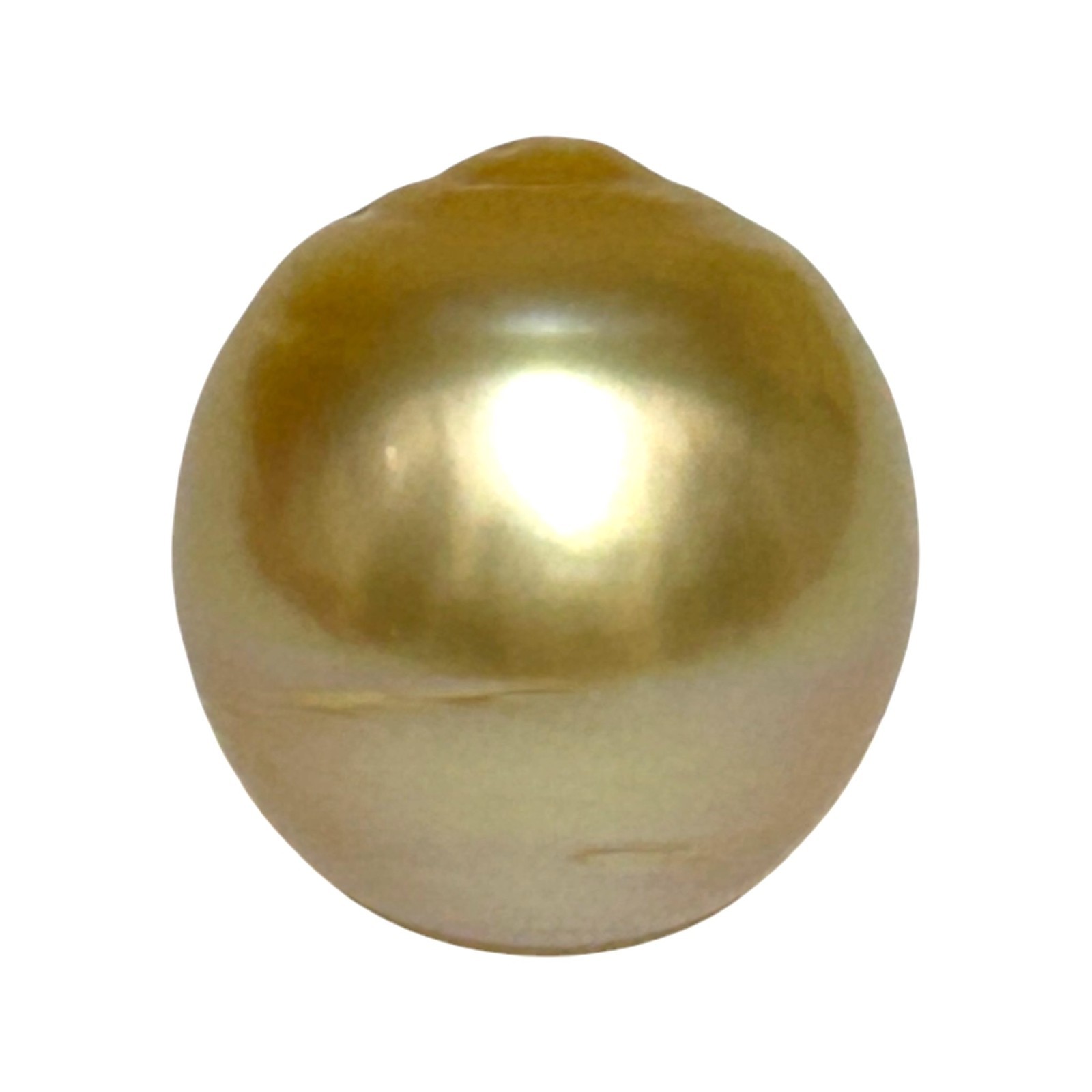 Giant 15.2 x 16.6mm 26.7 Carats Natural Golden Philippines South Sea Pearl Loose