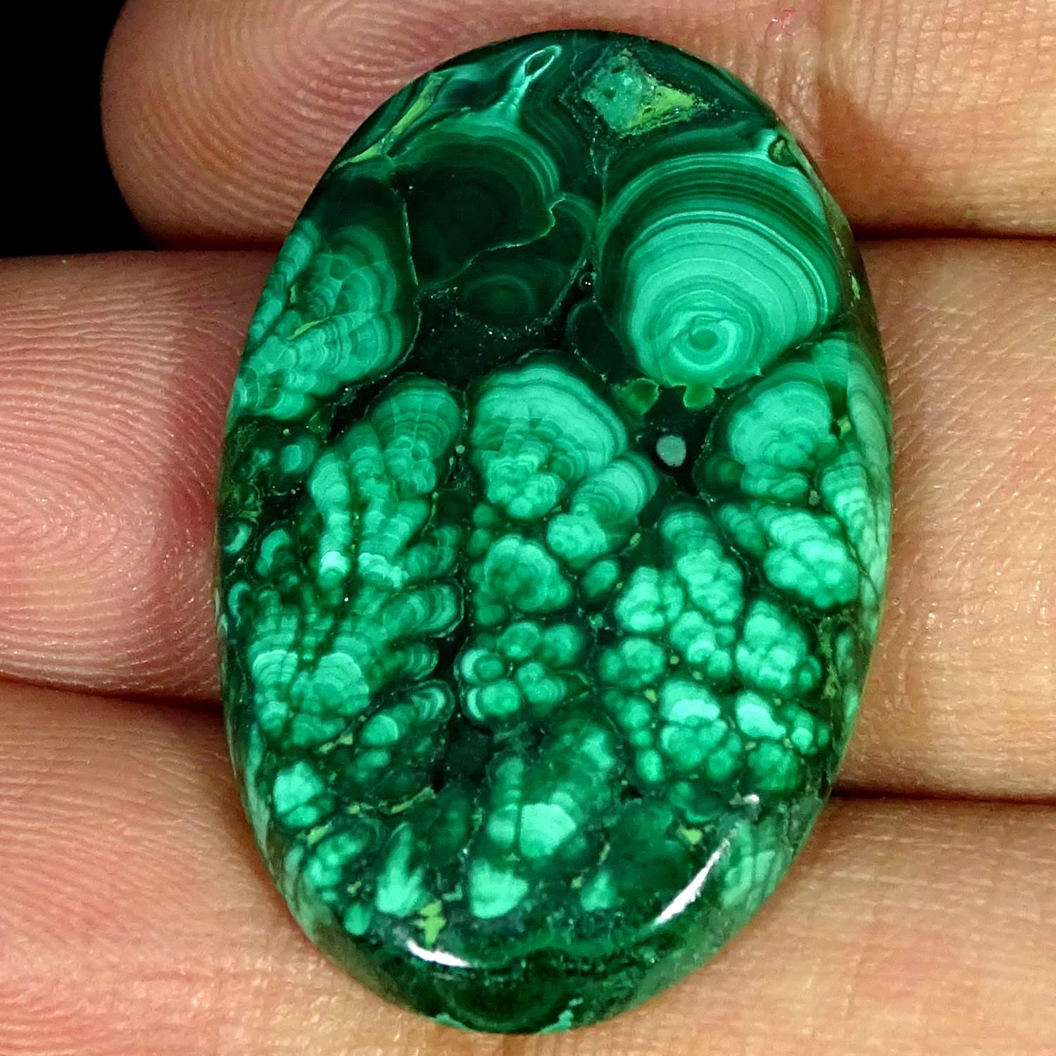 43.50Cts Natural Oval Malachite Cabochon Handmade Gemstone 21X33X5MM