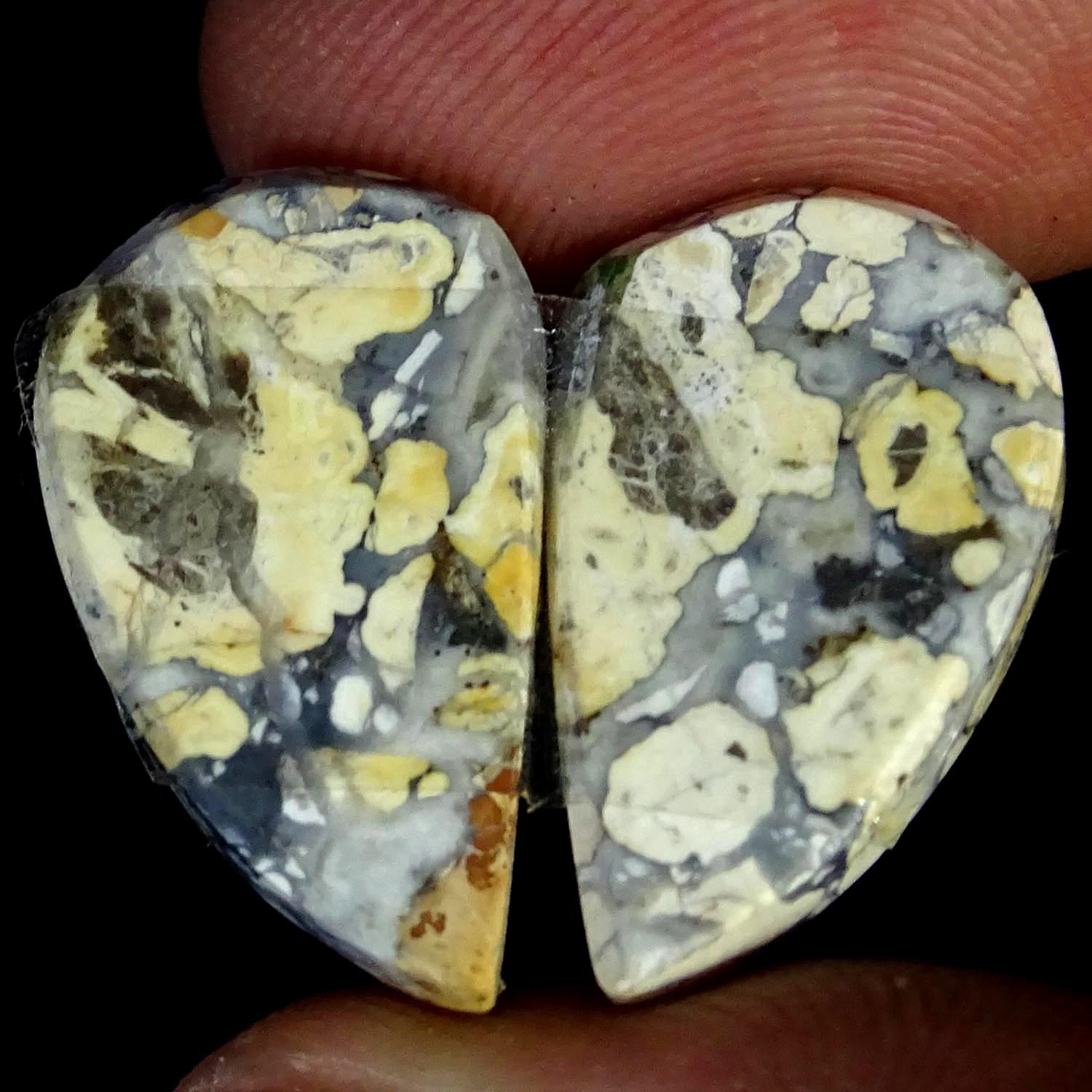 20.50Cts A+ Natural Maligano Jasper Pair Fancy Cabochon Gemstone 12X20X4MM