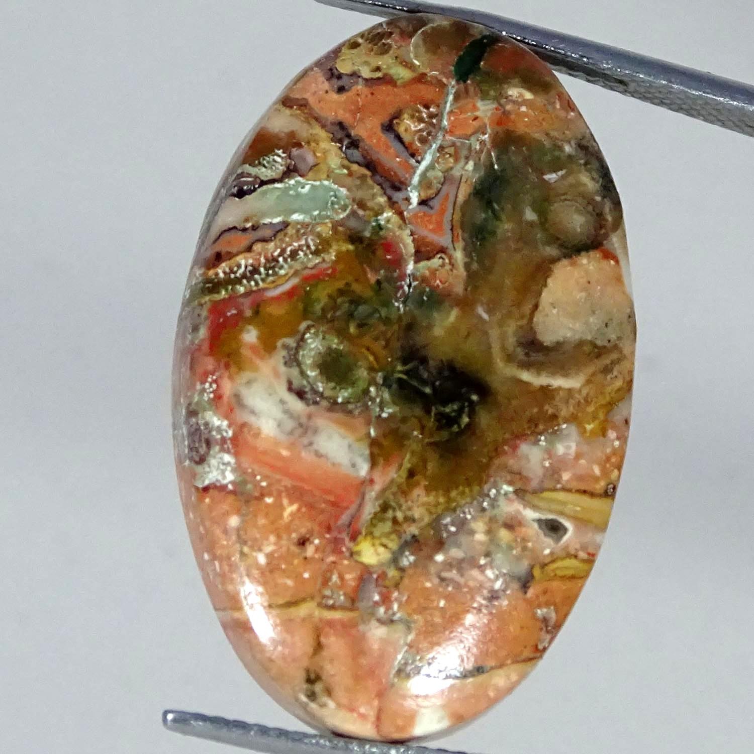 27.40Cts Natural Indonesia Picasso Jasper Oval Designer Cabochon 18X29X6MM