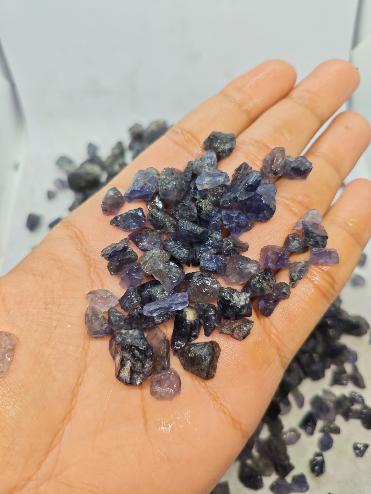 Natural Iolite Raw Rough Gemstones 5–20mm Sparkling Violet Blue