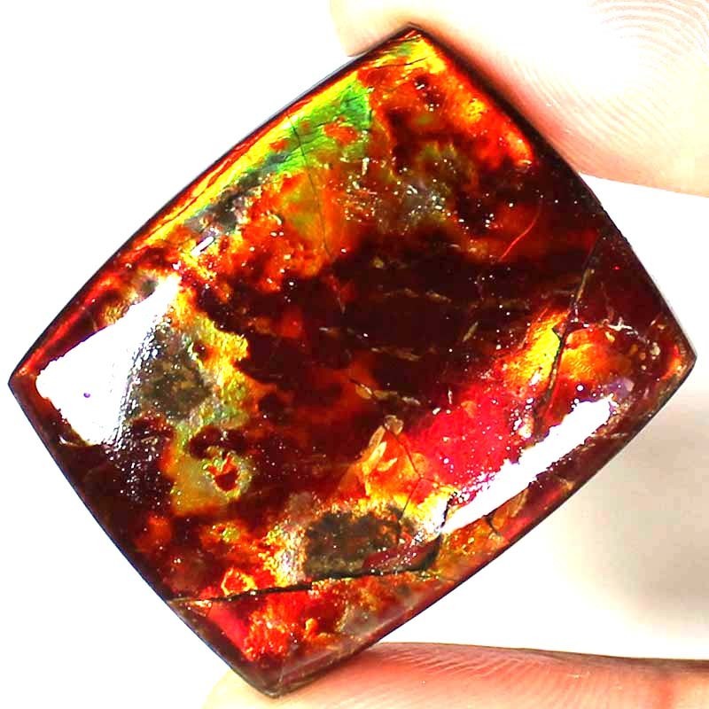 66.05CT Natural Multi Flashing AMMOLITE Cushion Cabochon Gemstone 29x35x6mm BC69