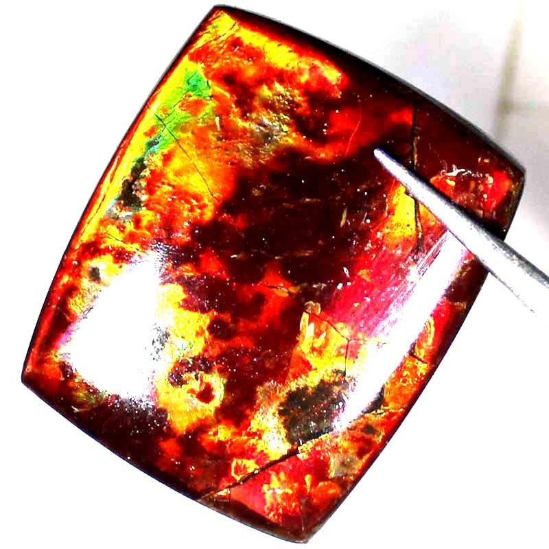 66.05CT Natural Multi Flashing AMMOLITE Cushion Cabochon Gemstone 29x35x6mm BC69