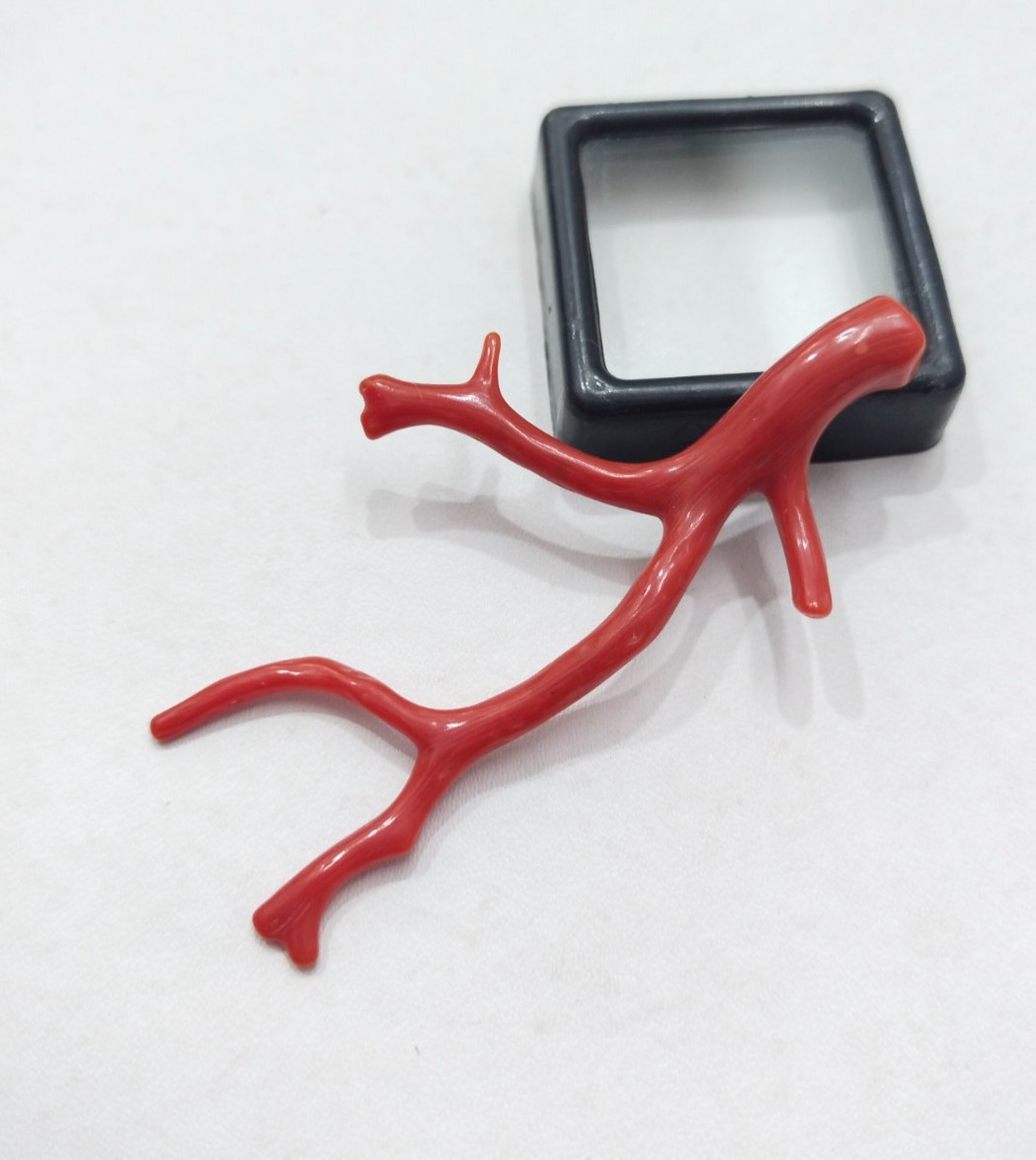 Genuine Undyed Red Coral Branch, Polished Italian Mediterranean Sea Red Gemstone
