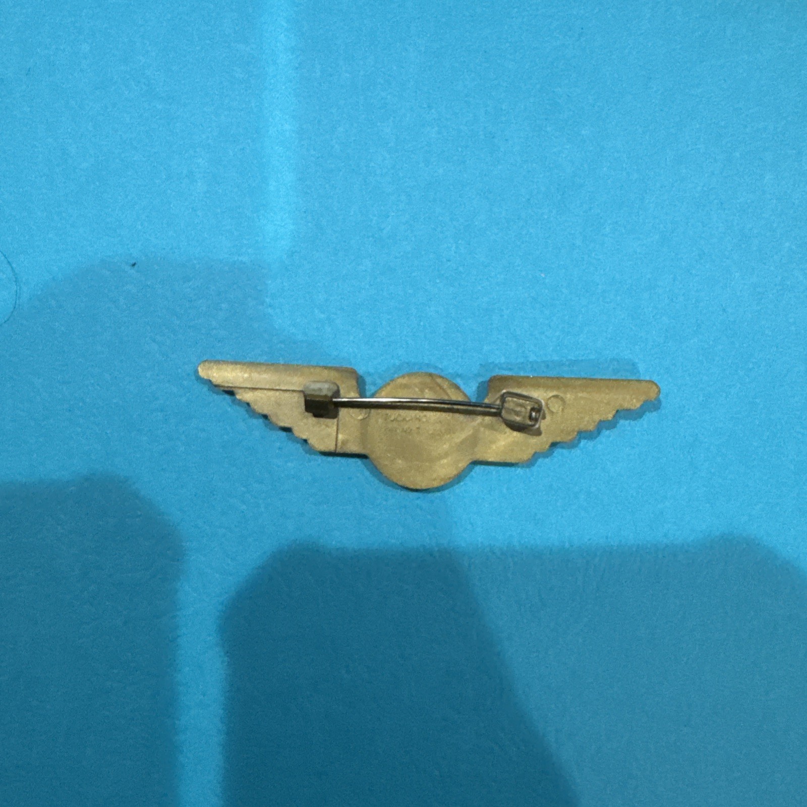Delta Wings Plastic Hat Lapel Pin Brooch